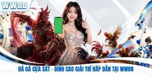 Đá Gà Cựa Sắt - Đỉnh Cao Giải Trí Hấp Dẫn Tại WW88